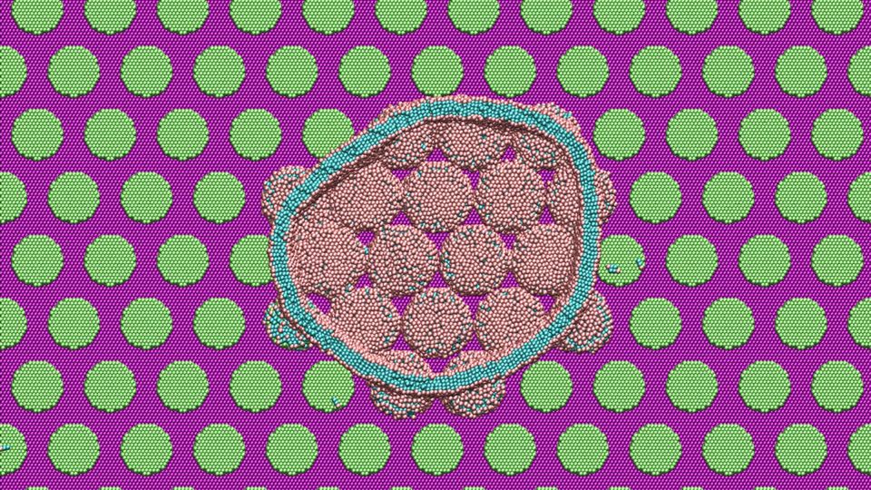 A top-down cross section of the simulated cicada wing nanostructure, showing its interaction with nanopillars.