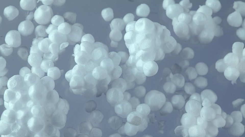 Close up of broken up bits of polystyrene, showing the constituent balls.
