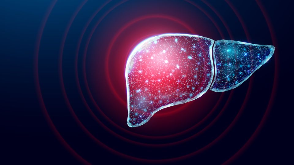 Computer generated image of a liver.