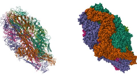 Cryo Electron Microscopy: Principle, Strengths, Limitations and Applications