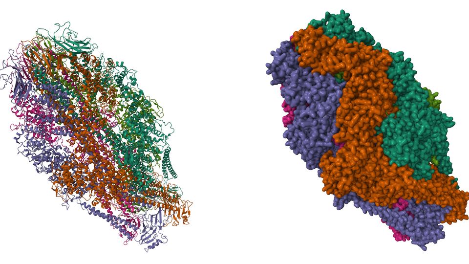 A 3D map and a 3D model of a protein structure generated using cryo EM.