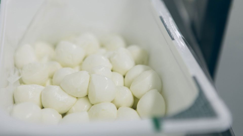 Small balls of white mozzarella in a tub.