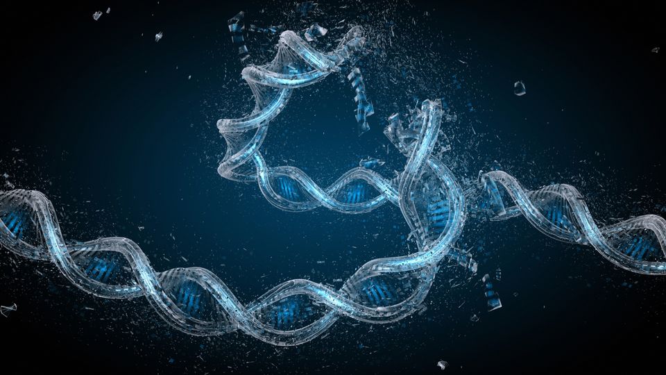 Double helix structure of DNA with a breakage.