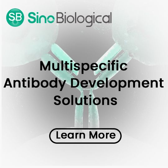 Multispecific Antibody Development Solutions Lab Equipment