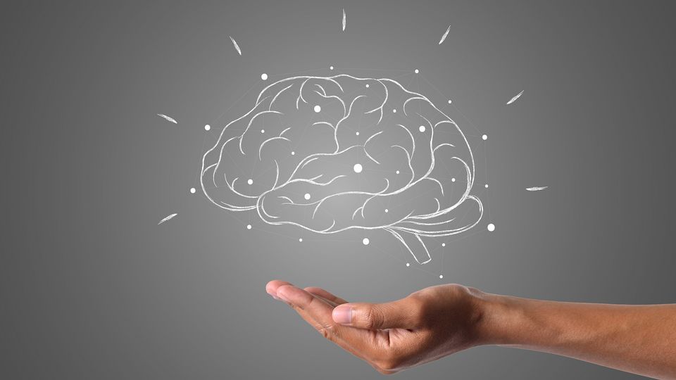 An outline of a human brain on a chalk board with a hand held out beneath it.