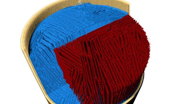 Freeze Casting Processes of Structured Materials Finally Filmed in 3D ...