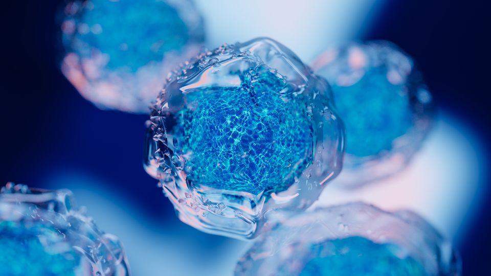 Computer-generated image of cancer cells.