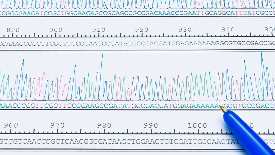 A trace of Sanger sequencing data generated using capillary electrophoresis with a pen paying on the top.