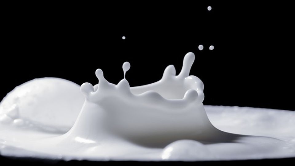 Splashing milk caught mid splash with droplets in the air.
