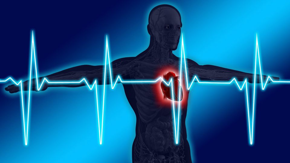 Heart highlighted in a torso, overlaid with an ECG signal.