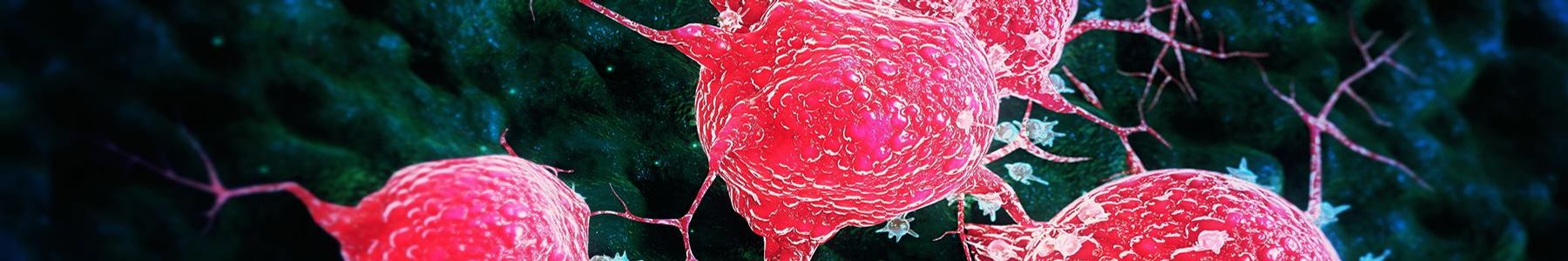 cell to cell ed cal 26th october 2023 tech net 