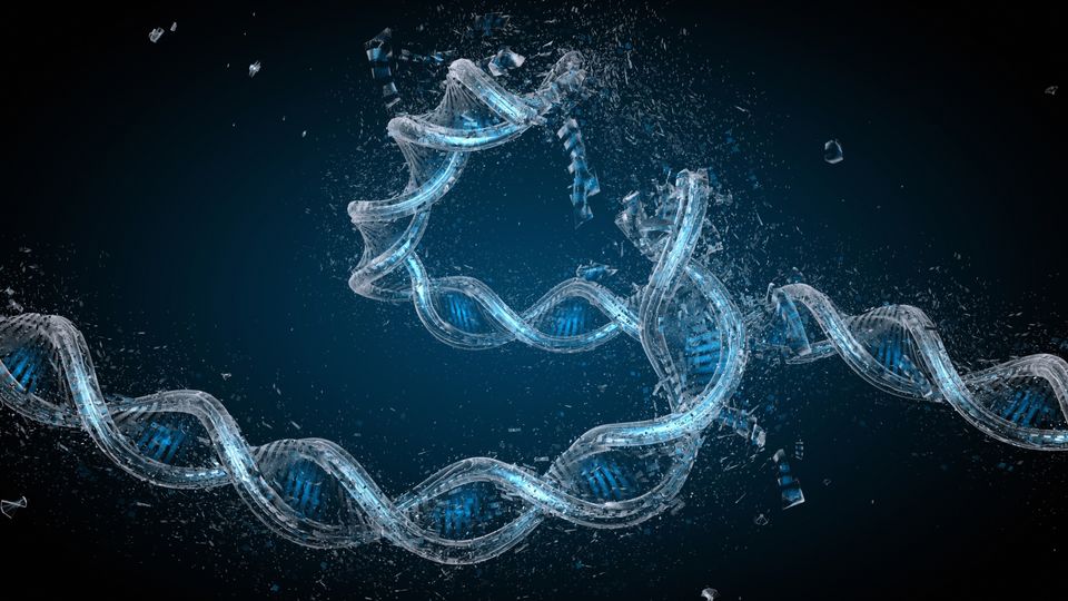 A DNA double helix split in two.