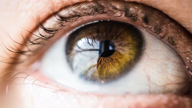 Experimental Treatment for Eye Condition Could Replace Injections With ...