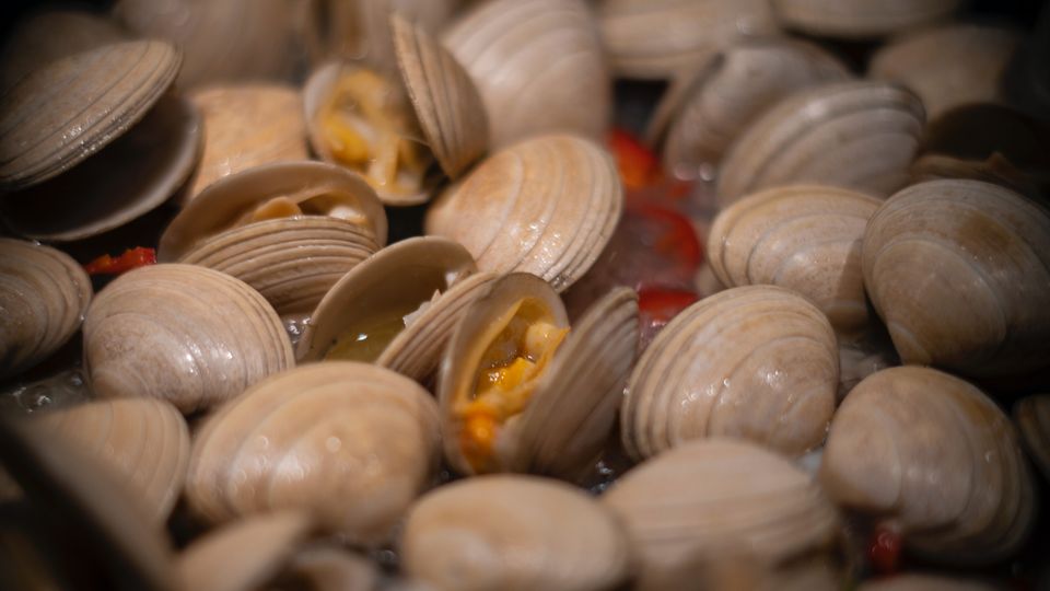 A picture of venus clams.