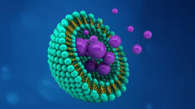 3D illustration of a lipid nanoparticle showing teal lipid layers surrounding clustered purple payload spheres. 