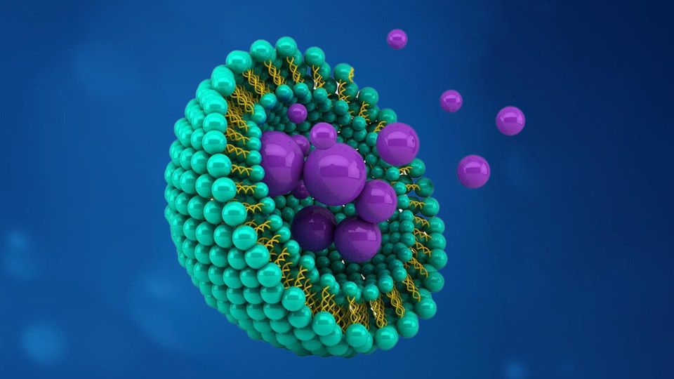3D illustration of a lipid nanoparticle showing teal lipid layers surrounding clustered purple payload spheres.