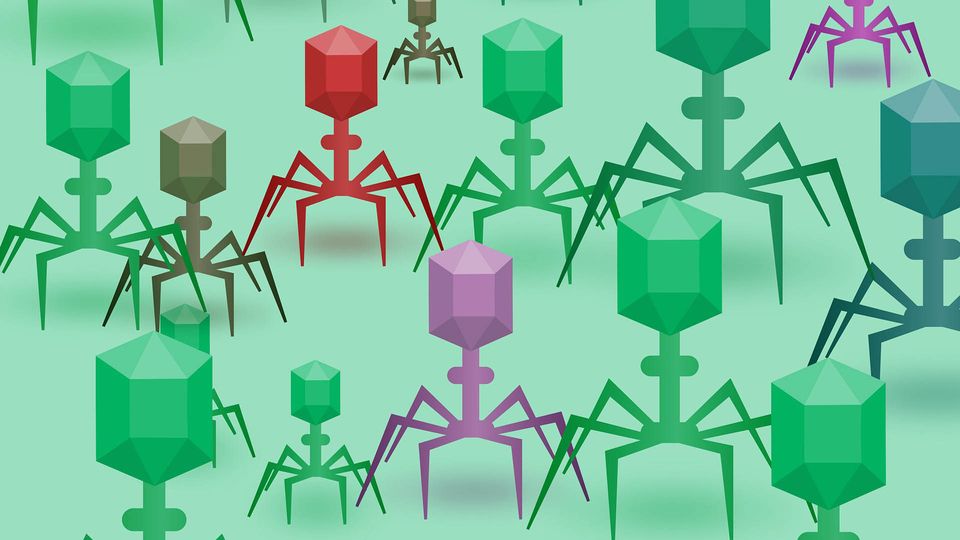 Bacteriophages in different colours.