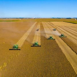 Soybean Production and Pesticides Linked to Childhood Leukemia ...