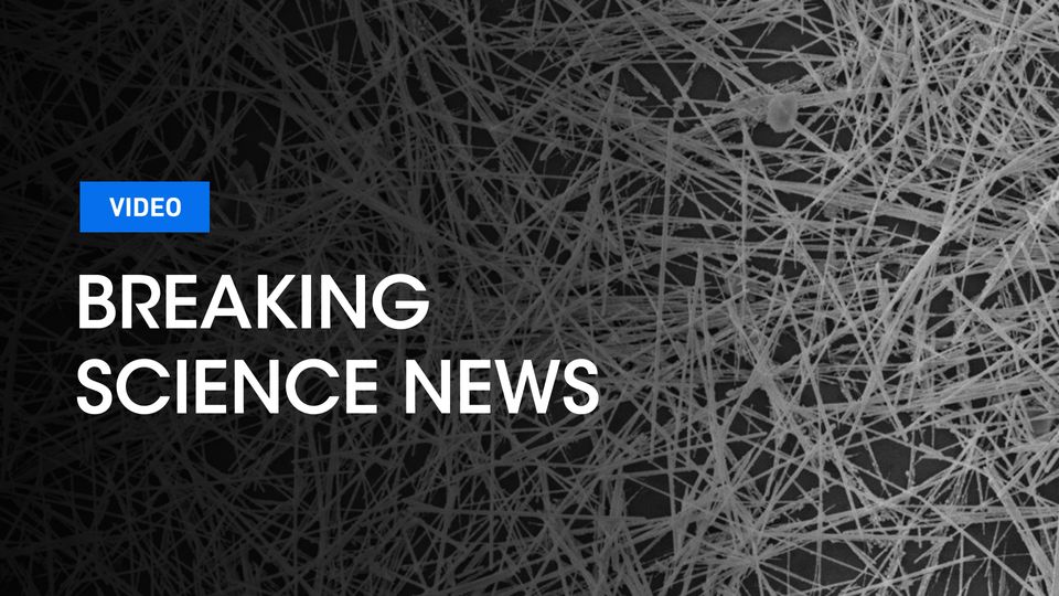 The nanowire neural network with the Breaking Science News logo.