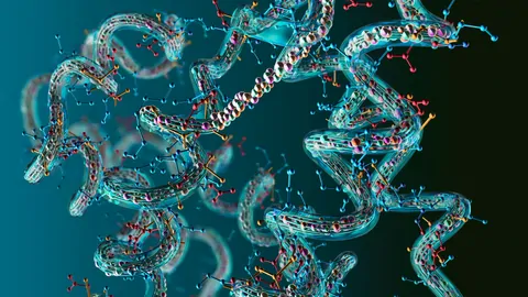 Peptide protein