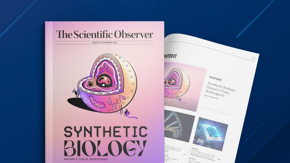 Networks 32 Scientific Observer The Issue Magazine | Technology