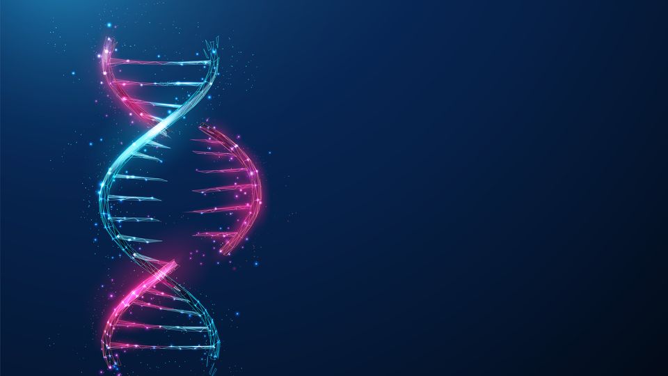 Double helix structure of DNA.