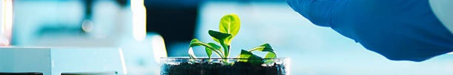 The Future of PFAS Testing in Food