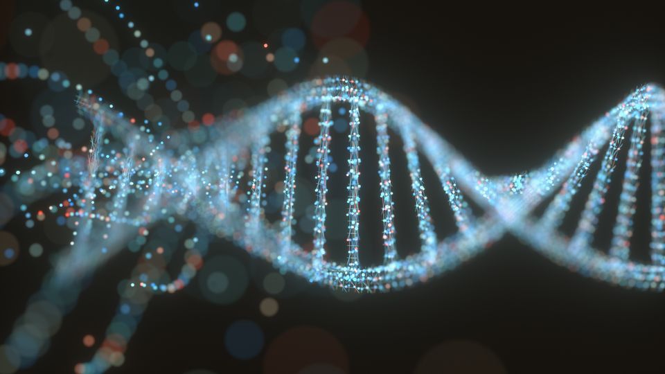 Double helix structure of DNA.