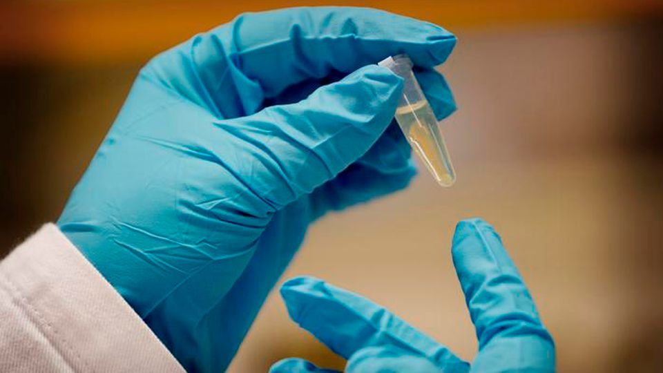 A close up of someone wearing gloves handling an Eppendorf tube.