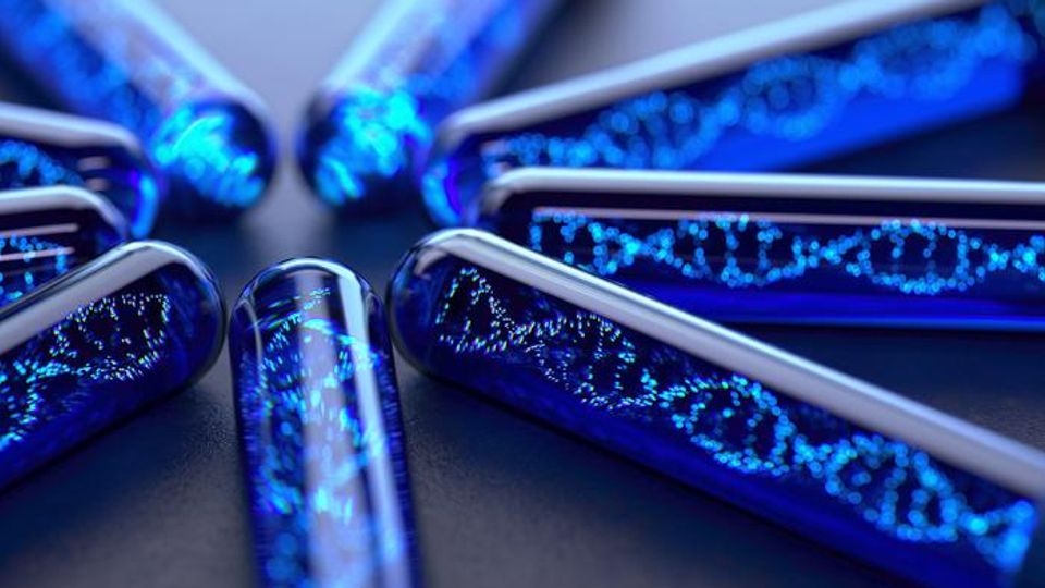 Synthetic Chromosomes/DNA in a test tube.