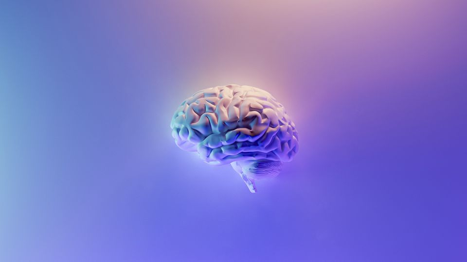 Human brain on a blue and purple background.