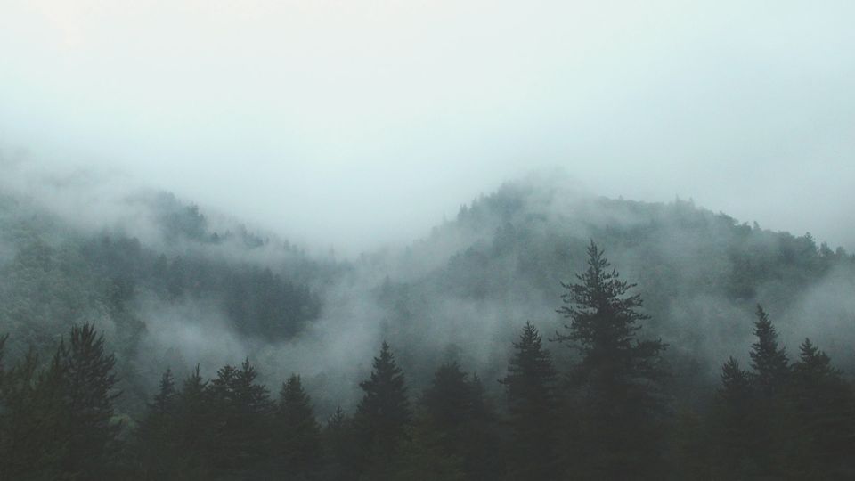 Fog over mountains.