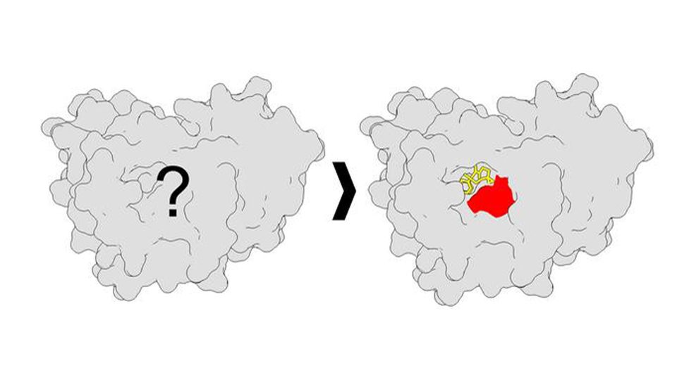 A protein with unknown binding sites (left), versus a protein showing high-resolution binding site mapping (right).