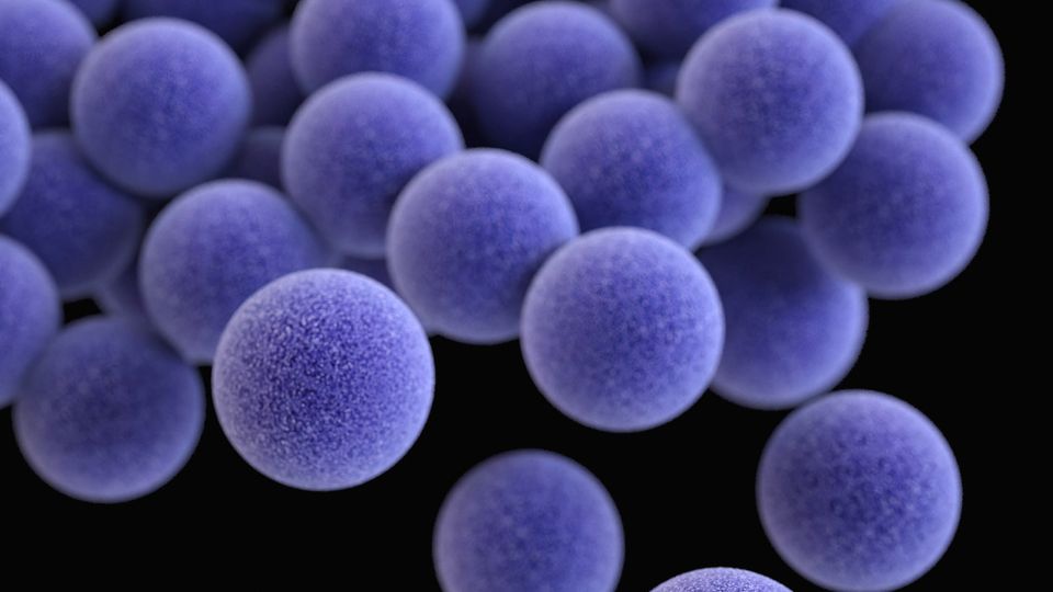 MRSA Cells.