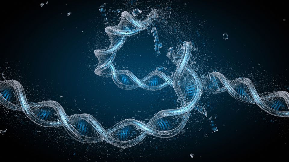 Broken double helix structure of DNA.