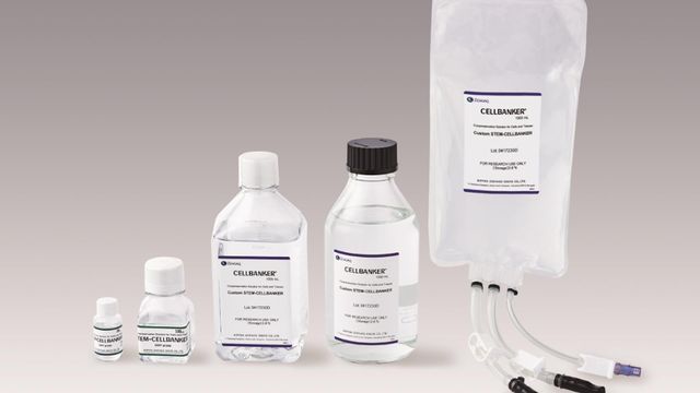Cryopreservation storage solutions for cell therapy.