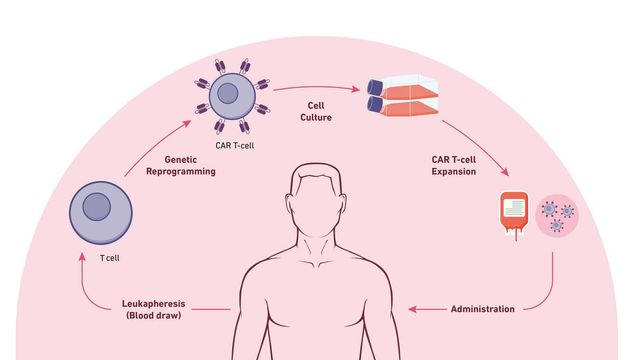 Elevating Your Cell and Gene Therapy with High-quality Solutions | Lab ...