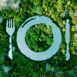 A river shaped like cutlery in a forest.  
