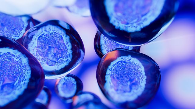 Researchers Uncover Mechanism Behind Cell Growth and Aging | Technology ...