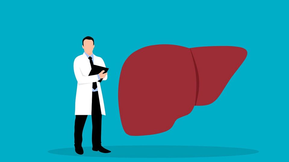 A graphic of a doctor next to a liver.