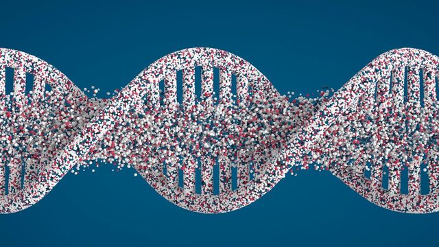 1 Million Unannotated Exons Discovered in the Human Genome | Technology ...