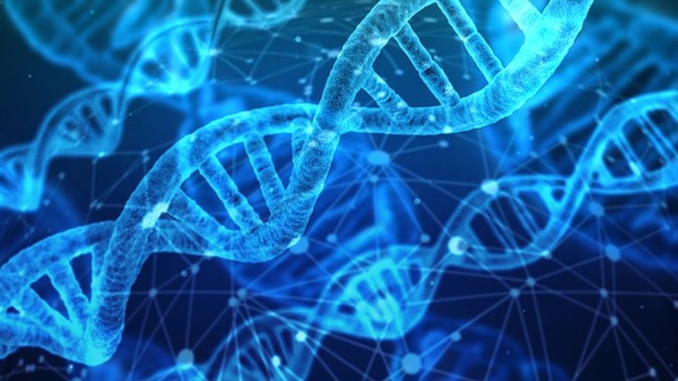 Double helix structure of DNA.