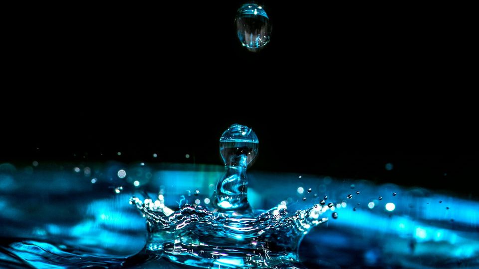 A water drop splashes as it hits the water's surface.