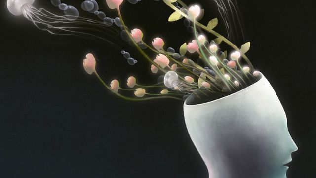 Brain Shell Nothing The Brain Might Not Be a Blank Slate at Birth After All | Technology ...