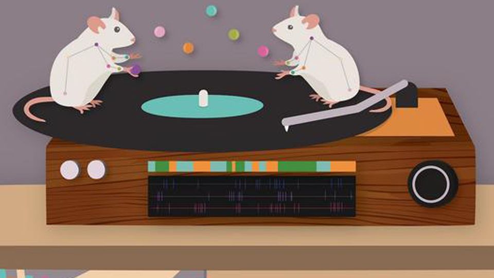 Two mice juggling on top of a record player.