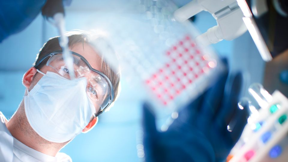 A scientist with an assay plate.