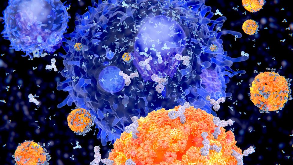 Artistic representation of an antibody-producing plasma cell helping to fight invading pathogens.