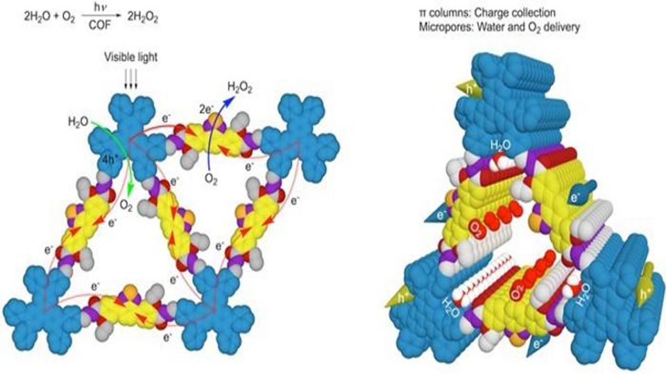 A newly designed hexavalent covalent organic framework (COF) material that mimics photosynthesis.