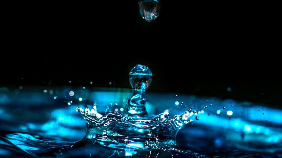 A water droplet hits the water's surface.