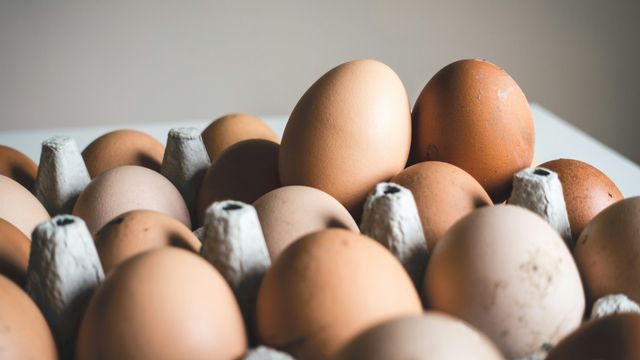 Eggs in a box.